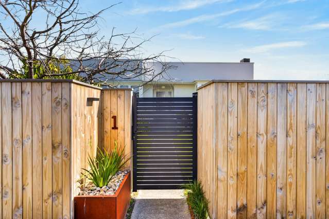 1 Lowry Terrace Marewa_3