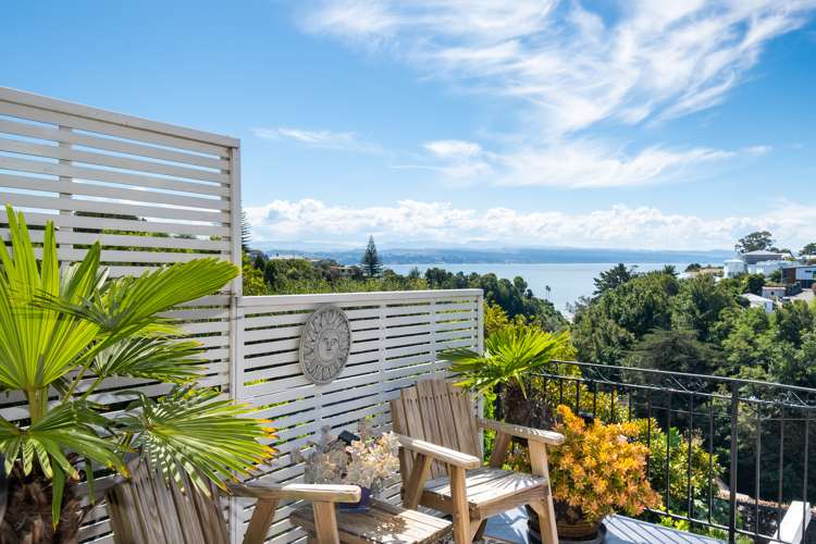 11 Lincoln Road Bluff Hill_18