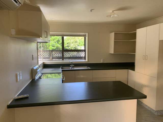 8 Hammond Street Bulls_1