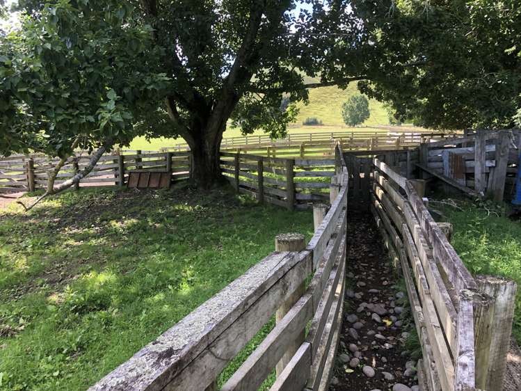 1041 Paparoa Road Whanganui National Park_2