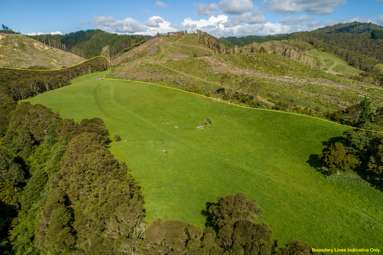 125 Wilson Road_4