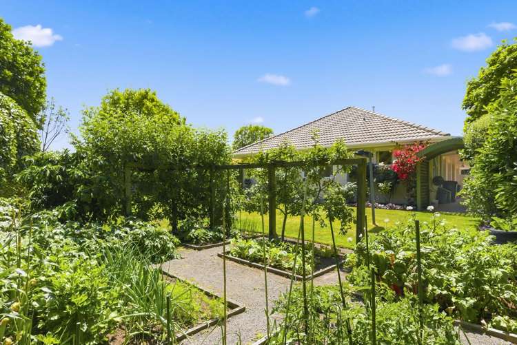 9 Maple Lane Waikanae_18