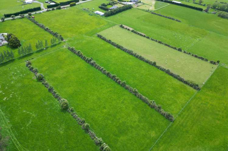 Lt 3&4 504 Flora Road East Makarewa_19