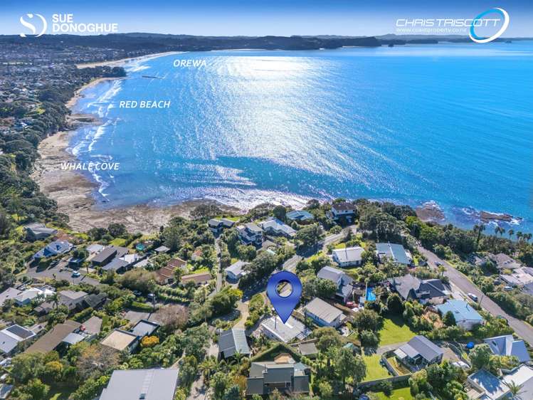 28 Duncansby Road Stanmore Bay_2