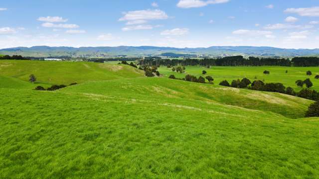 2/268 Graham Road Dannevirke_2