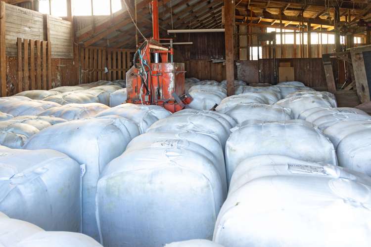 347 Butlers Road Fairlie_16