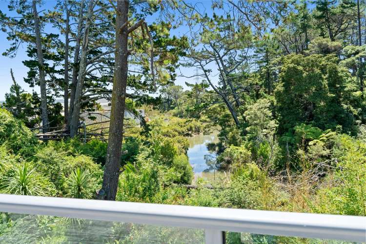 16 Stedman Place Avondale_16