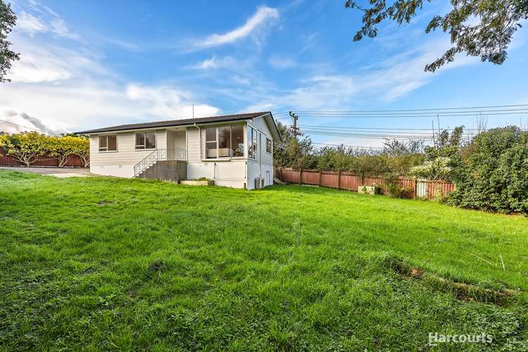 40a Vina Place Massey_8