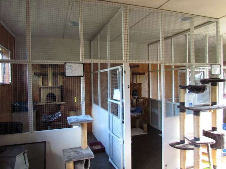 25 Vivian Street Solway_13