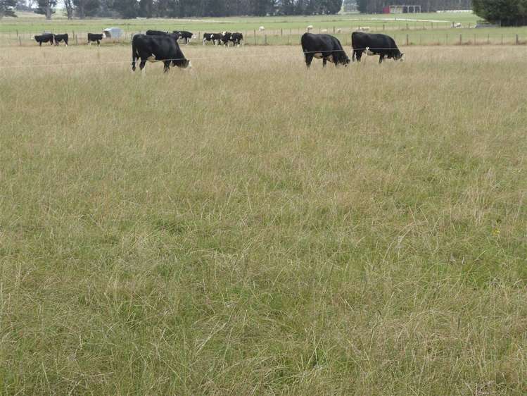 219 Robertson Road Winton Surrounds_18