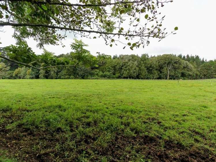 1059 Mountain Road Inglewood_33