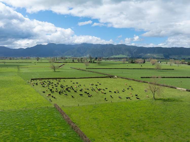 416 Wardville Road Matamata_25