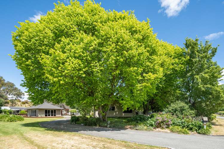 19 Terrace Road Renwick_19