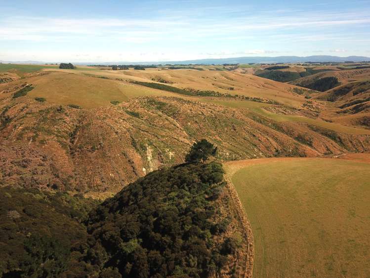 890 Mount Stuart Road Balclutha_21