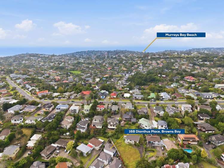 16B Dianthus Place Browns Bay_22