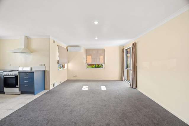 62A Hutchinson Avenue New Lynn_3
