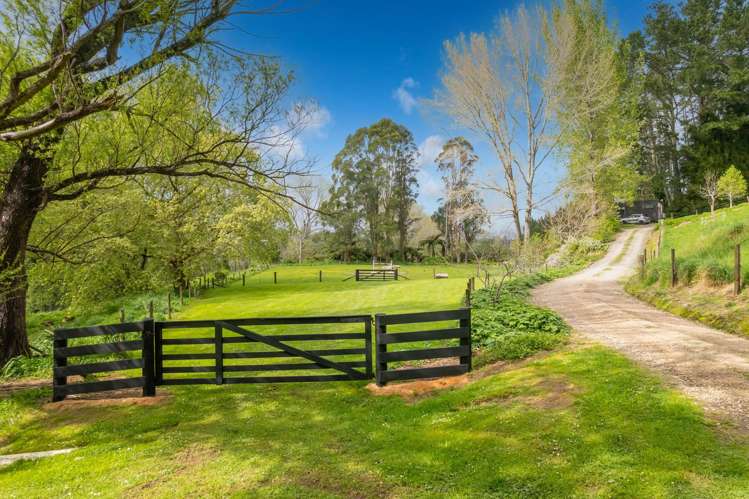 140H Tebbutt Road Lower Kaimai_29