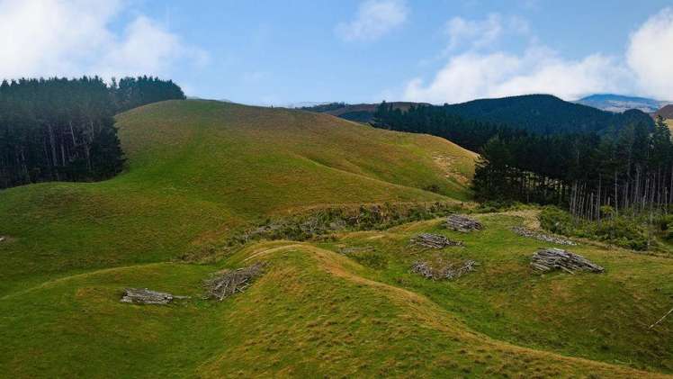 25 Mangamaire Road Dannevirke_23