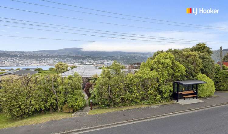 195 Larnach Road Waverley_18