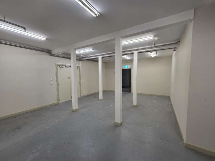 67 Fitzherbert St Petone Petone_4