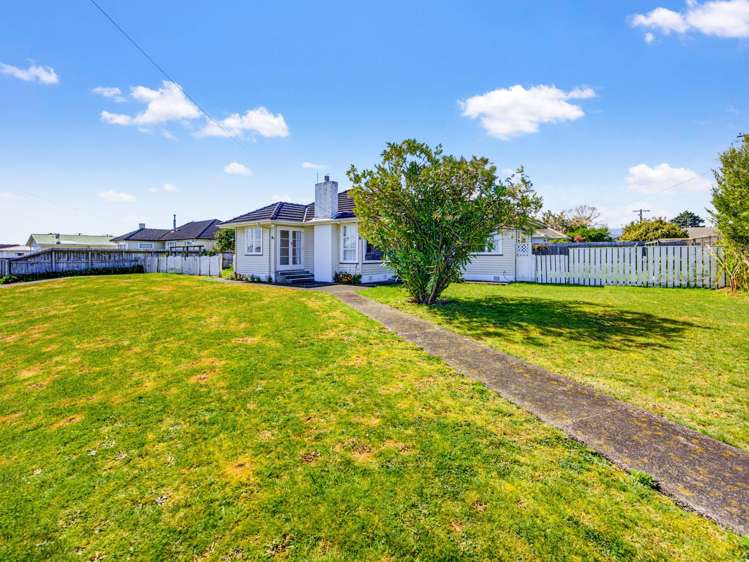 18 Clyde street Levin_21