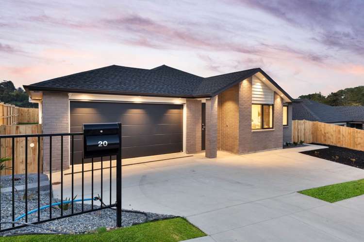 20 Kauri Gum Rise Swanson_29