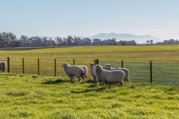 238 Wabys Road Southbridge_18