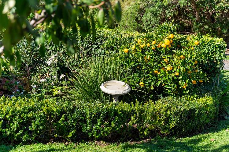 19 Davita Place Farm Cove_13