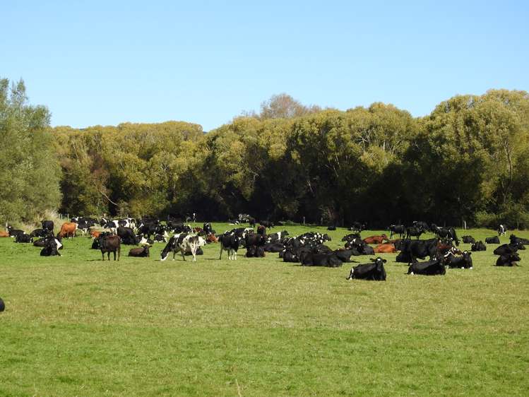 31 Waikouro Wairio Road Otautau_12