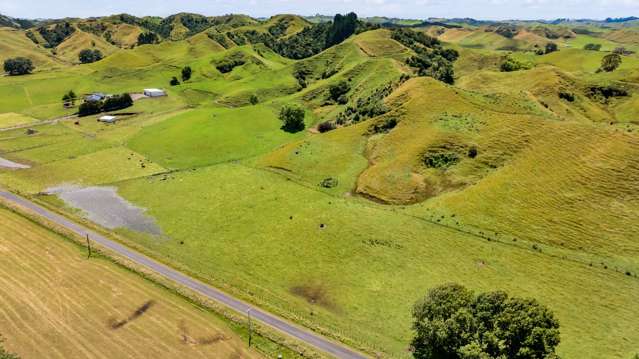 162 Standish Road Toko_2