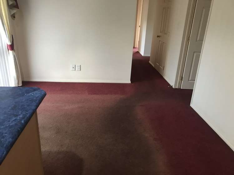 209 Te Irirangi Drive Flat Bush_7