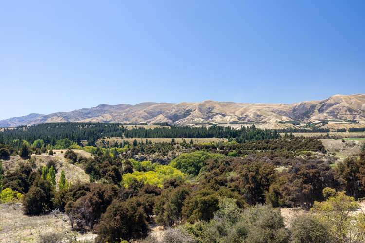 22 Jackson Rise Luggate_15