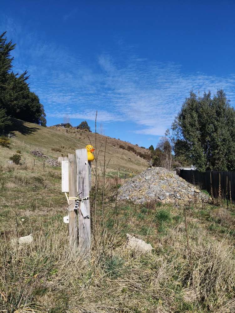 24 Campbelton Street Lawrence_5