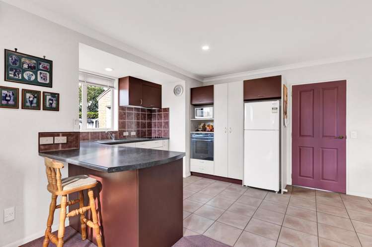 153 Edinburgh Street Spreydon_11