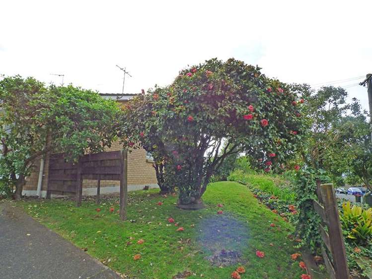 1/72 Paihia Road One Tree Hill_13