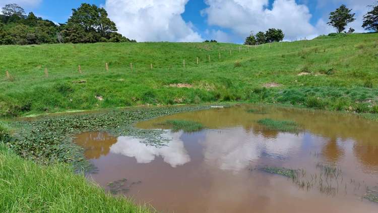 Lot/2 Wearmouth Road Paparoa_2
