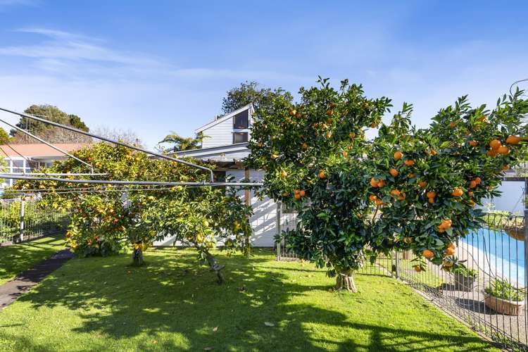 38 Callis Avenue Opaheke_24