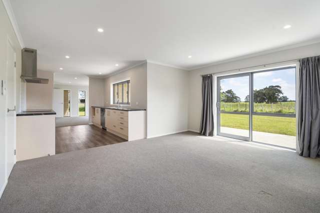 2465 State Highway 1 Rongotea_2