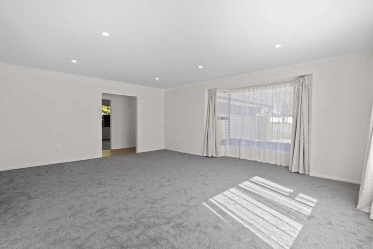 223 Redwood Street_5