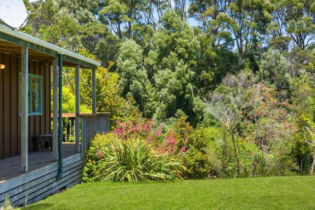 Arawhata Road Kaingaroa_1