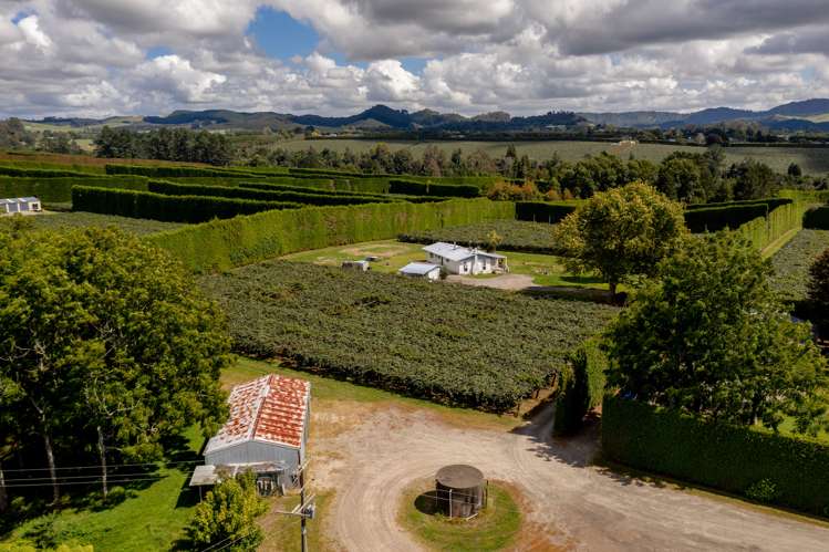 764b Te Matai Road Te Ranga_20