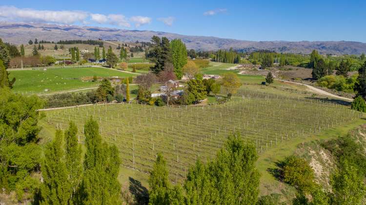 113 Earnscleugh Road Alexandra_15