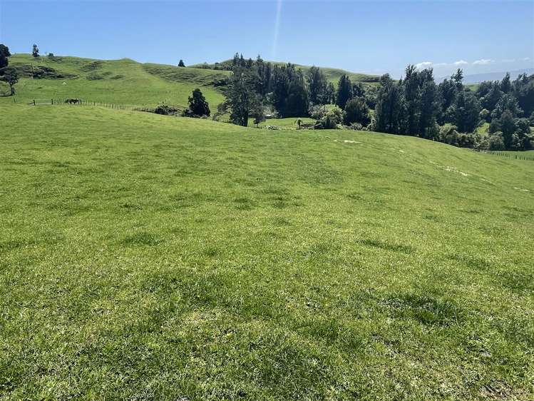 770 Owhiro Road Otorohanga_16