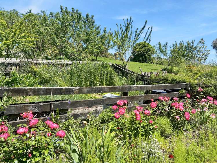 131B Hogg Road Rotoma_34