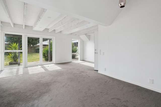 29B Sussex Street Levin_4