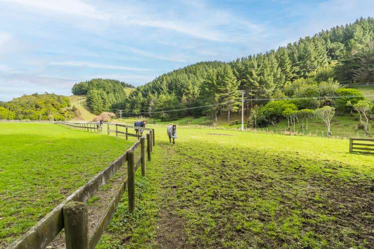 196 Valley Road Paraparaumu_5