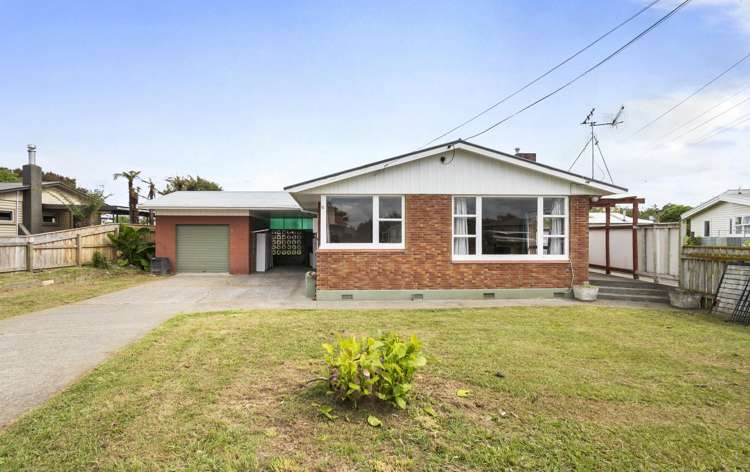 31 Hammond Street Bulls_1