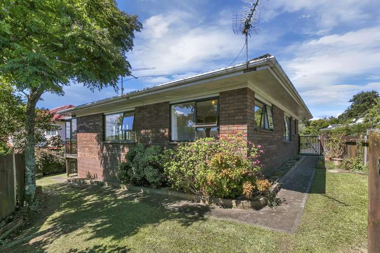 14a Cradock Street Avondale_5