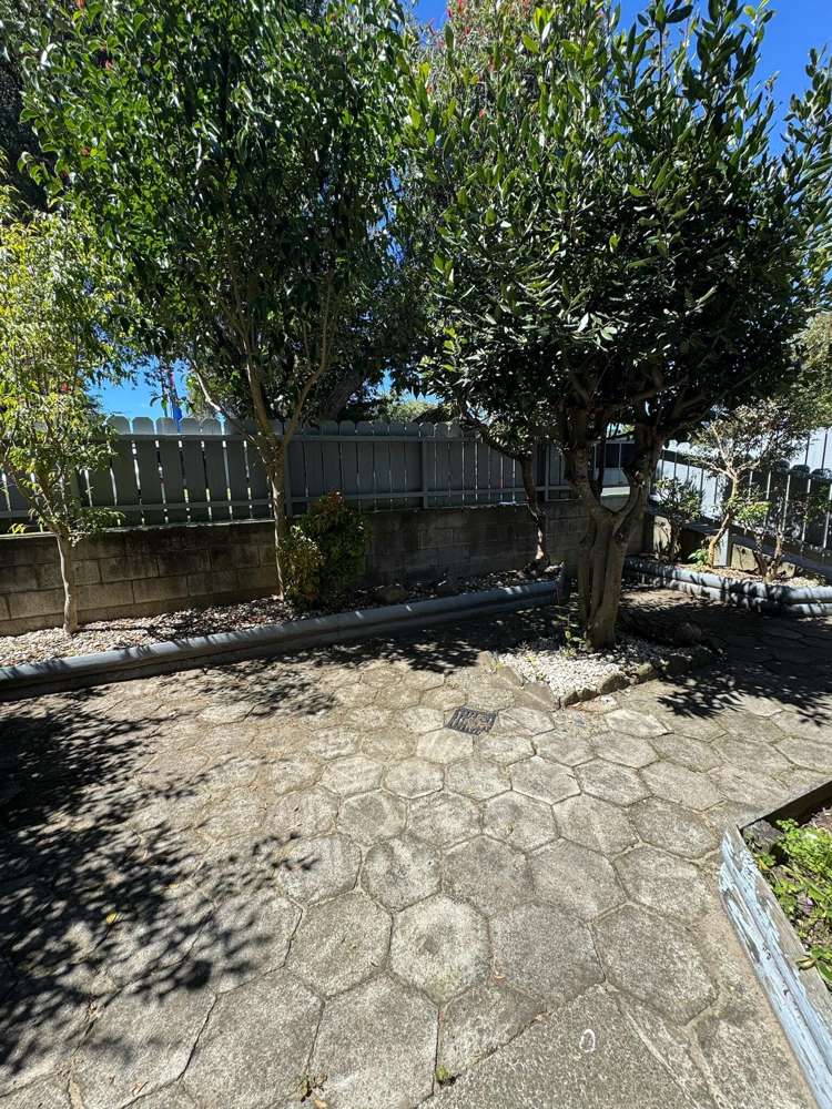 10a Nelson Street Whakatane_2