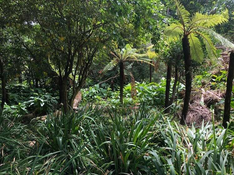 27 Haswell Street Eketahuna_15